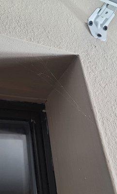 Just ONE IF MANY cobwebs, that are all over our room!!!