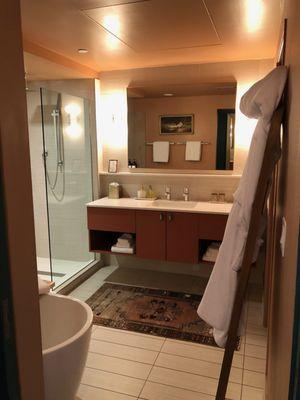 Bathroom with luxurious robes, rainfall & normal shower, and soaking tub