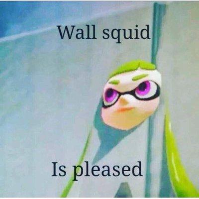 photo of random squid