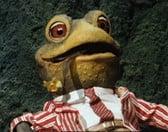 photo of Mr Toad F.