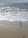 Photo of Bites At The Beach A.