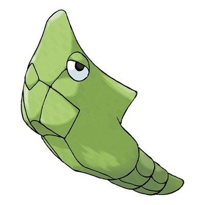 photo of Metapod M.