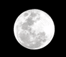 Photo of Moon C.