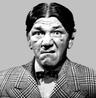 Photo of Shemp D.