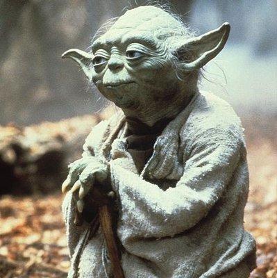 photo of Yoda S.