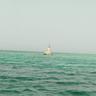 Photo of Amwaj T.