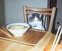 photo of Neko-Ramen K.