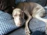 Photo of SophTheWeim H.