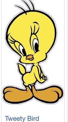 photo of Tweety S.