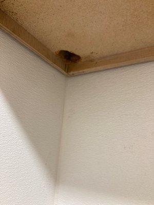 Holes in cabinets