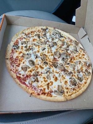 Thin Crust Cheese and Mushroom