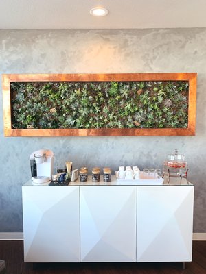 Our succulent wall/ coffee bar!