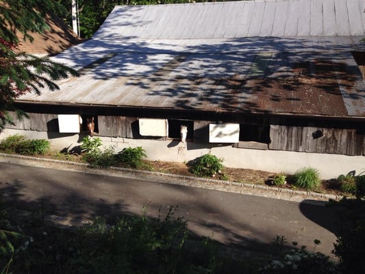 Winding Hill Stables