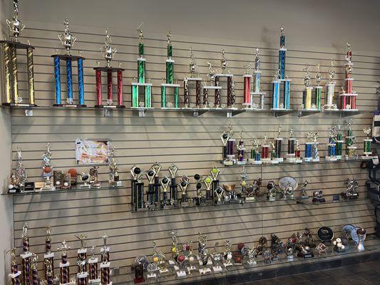 Sports Trophies...many options