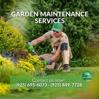 Rafael Landscaping and Gardening Services