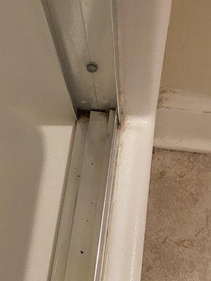 Shower door