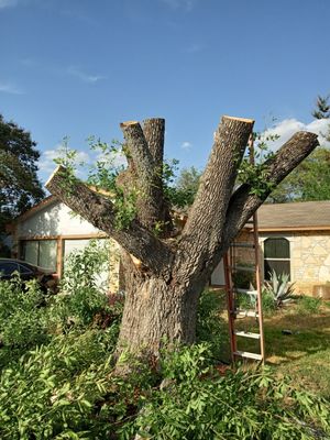 The Helping Hand Tree Service & Landscaping