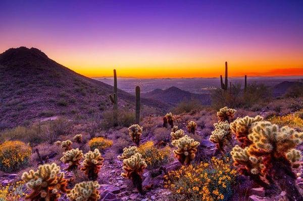 Arizona Desert at Sunset