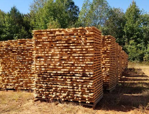 Oak staves air drying