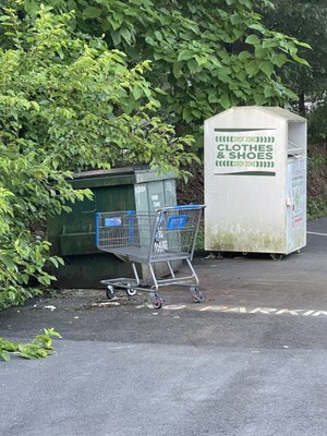 Walmart shopping carts next to thrash