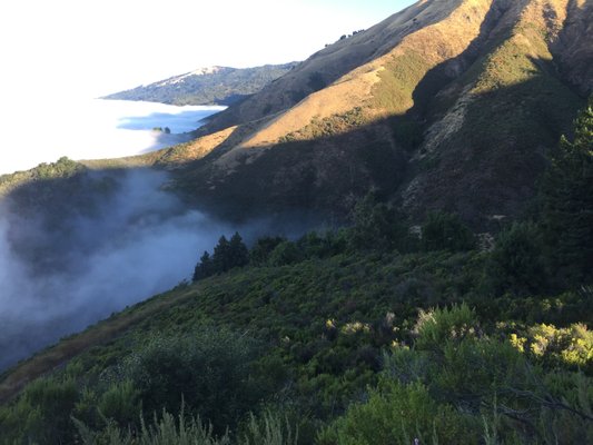 Over 50 weddings on the Big Sur Coast since 1993.