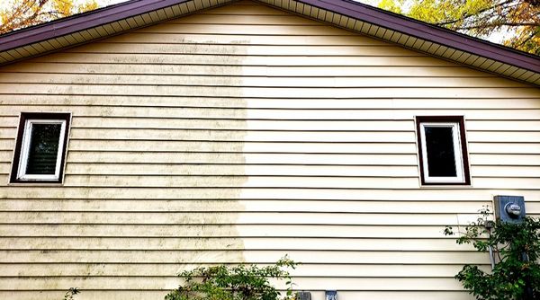 Siding cleaning