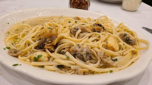 Linguini White Clam Sauce