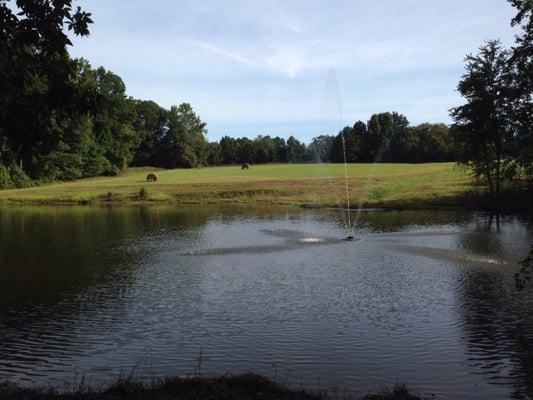 Field and fountain