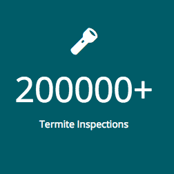 Termites damage approximately 600,000 homes a year. Don't become a statistic. Termites eat 24 hours a day, seven days a week....