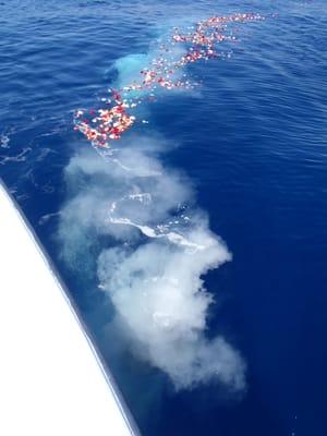 scattering ashes at sea (Atlantic Ocean) off Miami