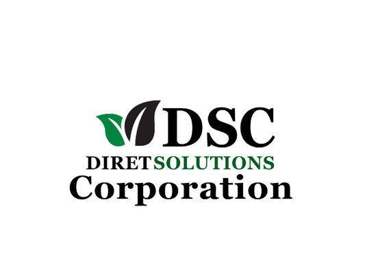 Diret Solutions Corporation