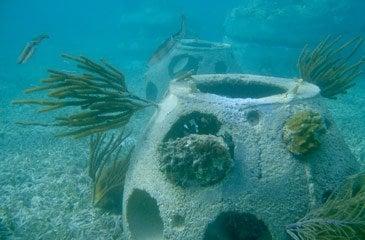 Reefs underwater