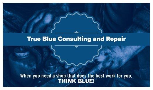 True Blue Consulting and Repair