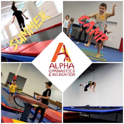 Summers at Alpha are clean, safe, fun, and plenty of physical activities.  $100 off a full day 4 week camp (paid in advance).