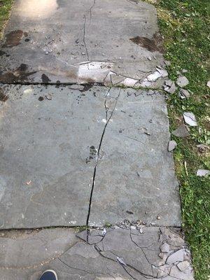 Sidewalk after North Jersey Tree Service ruined it.