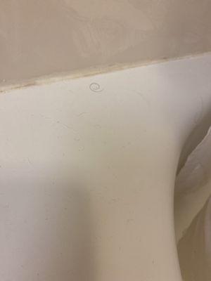 Pubic hair in tub