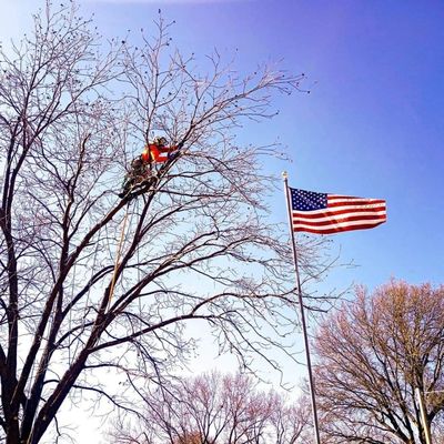 Pruning clearance for the Great American Flag!