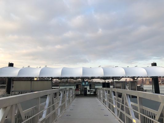 NYC Ferry