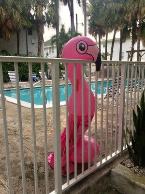 Broken flamingo