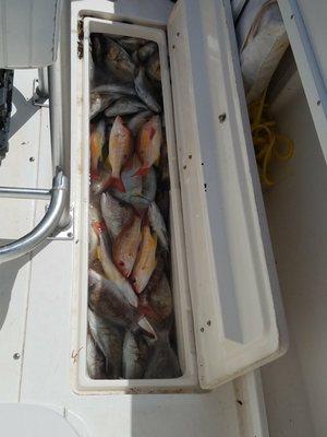 A few hours into the trip, and the cooler is PACKED full of keepers!