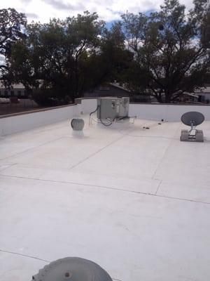 TPO roof system