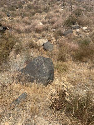 Metamorphic rock amidst sedimentary rock.