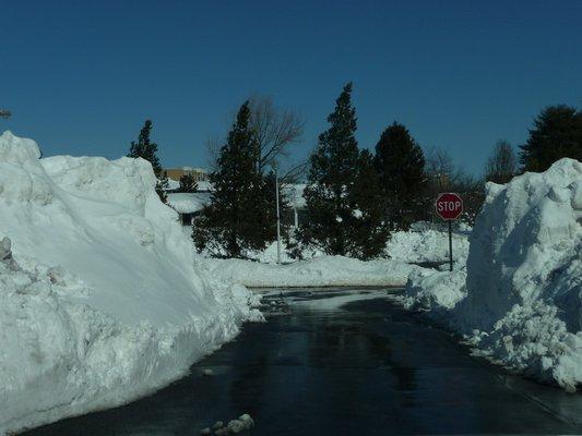 Snow Removal