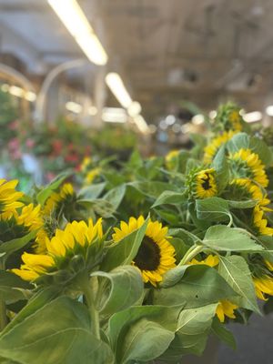 Trenton Farmers Market