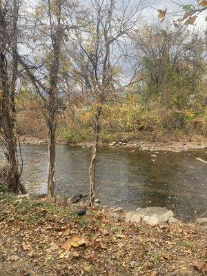 River from table window