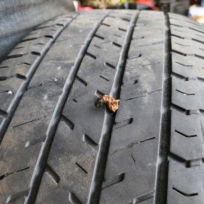 Nails are everywhere on the road. We can patch them up