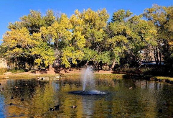 The Park is north acrosd 4th Street. Kids could feed the ducks and geese. They like frozen peas.