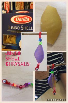 Chrysalis craft