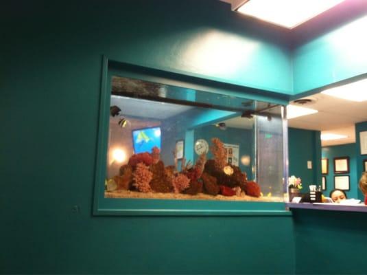 Fancy fish tank. Sick waiting area on other side