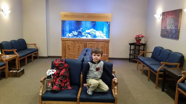 Waiting room with the huge fish tank